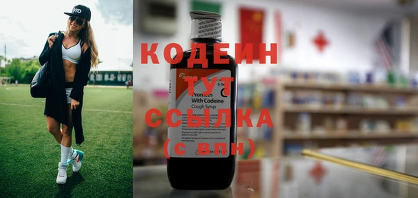 дурь Арсеньев