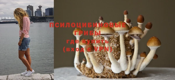 дурь Арсеньев