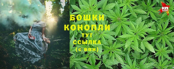 дурь Арсеньев
