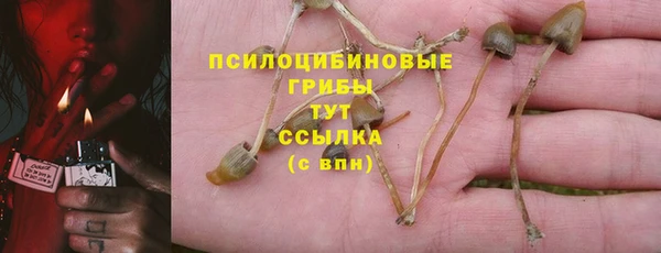 дурь Арсеньев