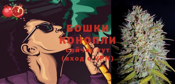 молекула духа Аркадак