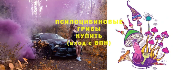 молекула духа Аркадак