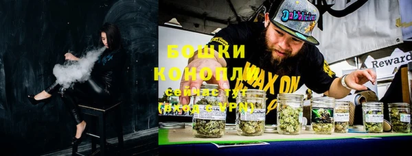 дурь Арсеньев