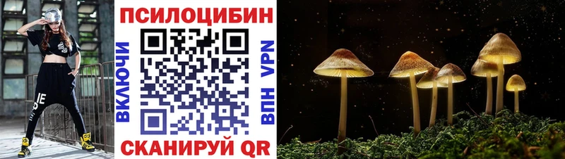 Псилоцибиновые грибы Cubensis  Пикалёво 